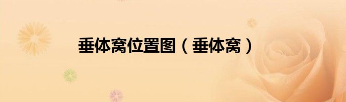 垂体窝位置图（垂体窝）