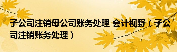 子公司注销母公司账务处理 会计视野（子公司注销账务处理）