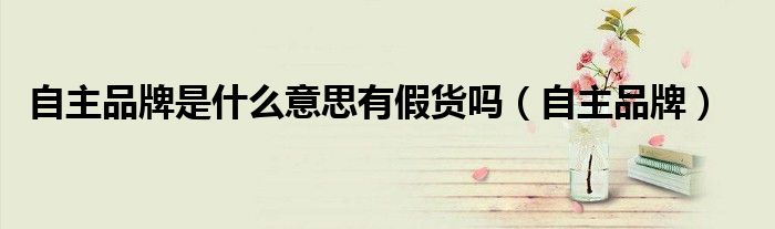 自主品牌是什么意思有假货吗（自主品牌）