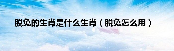 脱兔的生肖是什么生肖（脱兔怎么用）