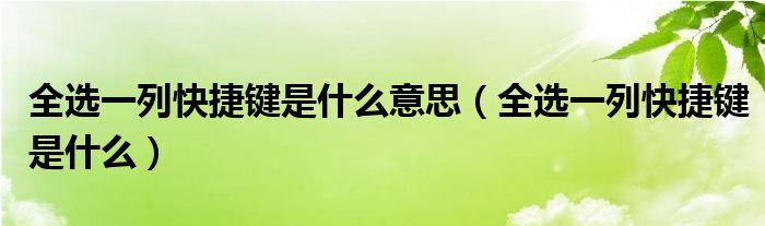 全选一列快捷键是什么意思（全选一列快捷键是什么）