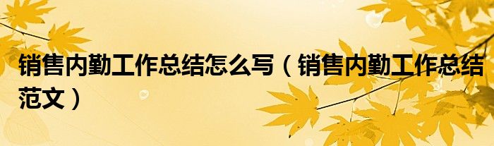 销售内勤工作总结怎么写（销售内勤工作总结范文）