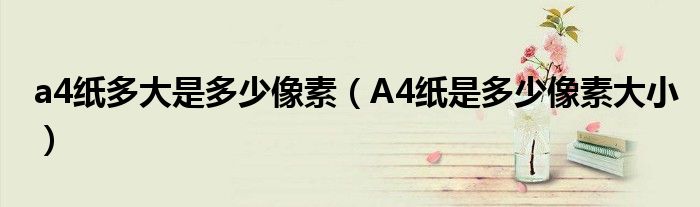 a4纸多大是多少像素（A4纸是多少像素大小）