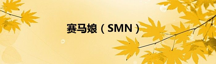 赛马娘（SMN）