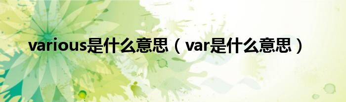 various是什么意思（var是什么意思）