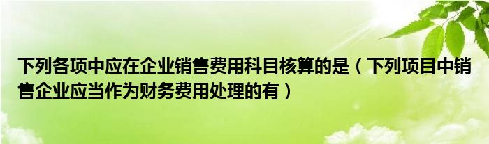 下列各项中应在企业销售费用科目核算的是（下列项目中销售企业应当作为财务费用处理的有）