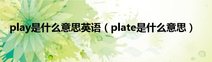 play是什么意思英语（plate是什么意思）