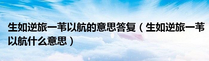 生如逆旅一苇以航的意思答复（生如逆旅一苇以航什么意思）