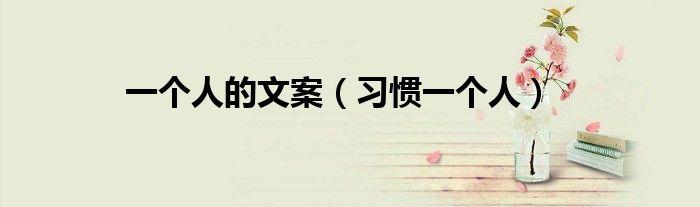 一个人的文案（习惯一个人）