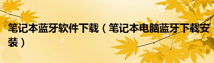 笔记本蓝牙软件下载（笔记本电脑蓝牙下载安装）