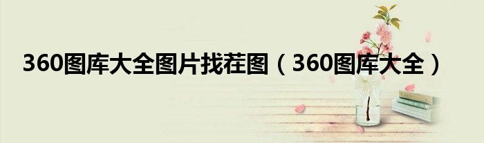 360图库大全图片找茬图（360图库大全）