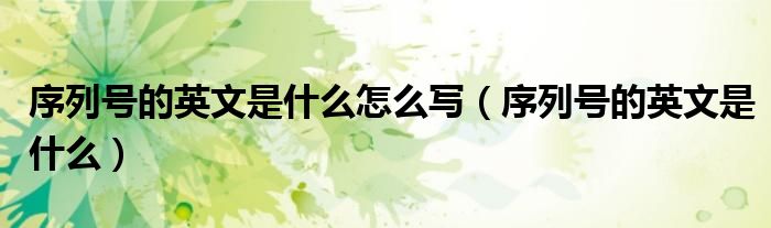 序列号的英文是什么怎么写（序列号的英文是什么）