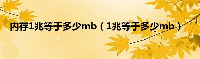 内存1兆等于多少mb（1兆等于多少mb）