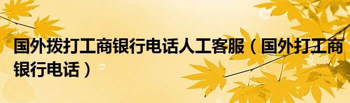 国外拨打工商银行电话人工客服（国外打工商银行电话）