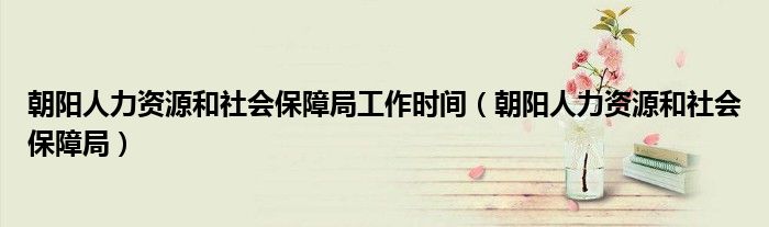 朝阳人力资源和社会保障局工作时间（朝阳人力资源和社会保障局）