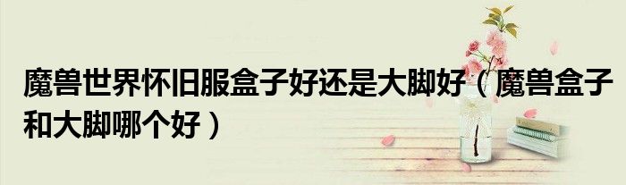 魔兽世界怀旧服盒子好还是大脚好（魔兽盒子和大脚哪个好）