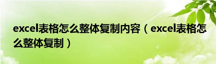 excel表格怎么整体复制内容（excel表格怎么整体复制）