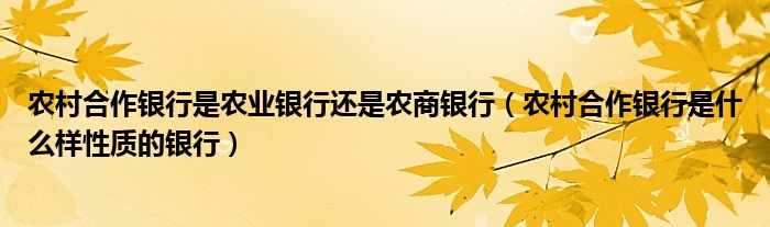 农村合作银行是农业银行还是农商银行（农村合作银行是什么样性质的银行）