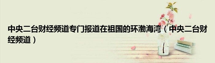 中央二台财经频道专门报道在祖国的环渤海湾（中央二台财经频道）