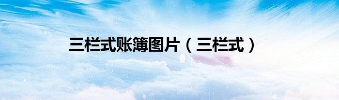 三栏式账簿图片（三栏式）