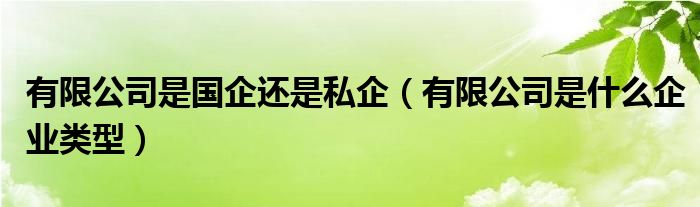 有限公司是国企还是私企（有限公司是什么企业类型）