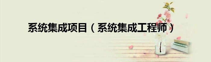 系统集成项目（系统集成工程师）