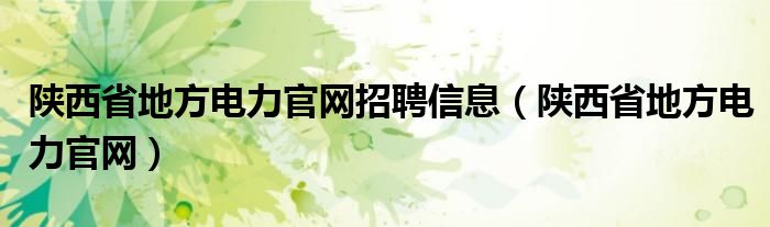 陕西省地方电力官网招聘信息（陕西省地方电力官网）