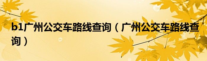 b1广州公交车路线查询（广州公交车路线查询）