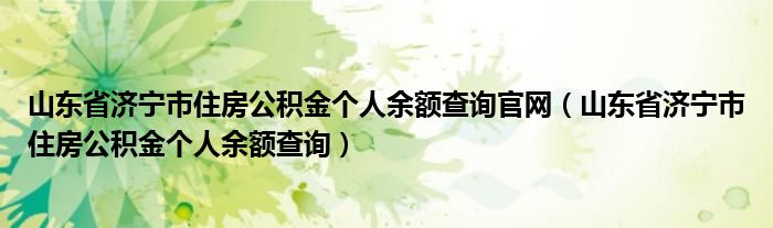 山东省济宁市住房公积金个人余额查询官网（山东省济宁市住房公积金个人余额查询）