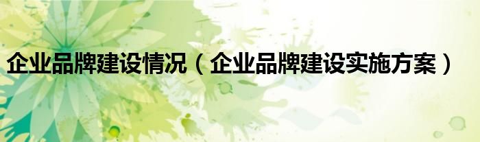 企业品牌建设情况（企业品牌建设实施方案）