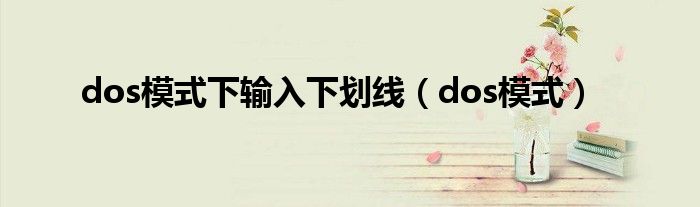 dos模式下输入下划线（dos模式）