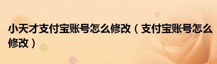 小天才支付宝账号怎么修改（支付宝账号怎么修改）