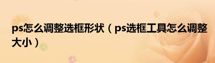 ps怎么调整选框形状（ps选框工具怎么调整大小）