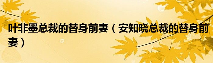 叶非墨总裁的替身前妻（安知晓总裁的替身前妻）