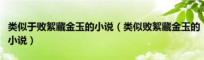 类似于败絮藏金玉的小说（类似败絮藏金玉的小说）