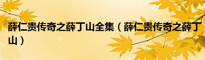 薛仁贵传奇之薛丁山全集（薛仁贵传奇之薛丁山）