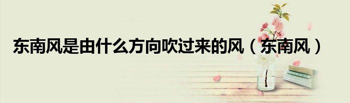 东南风是由什么方向吹过来的风（东南风）