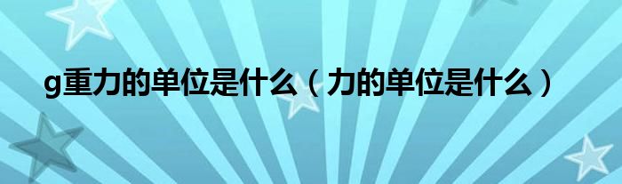 g重力的单位是什么（力的单位是什么）