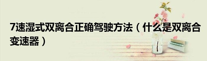 7速湿式双离合正确驾驶方法（什么是双离合变速器）