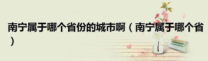 南宁属于哪个省份的城市啊（南宁属于哪个省）