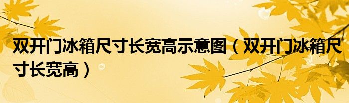 双开门冰箱尺寸长宽高示意图（双开门冰箱尺寸长宽高）