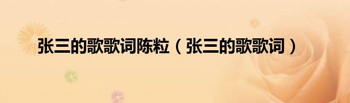 张三的歌歌词陈粒（张三的歌歌词）