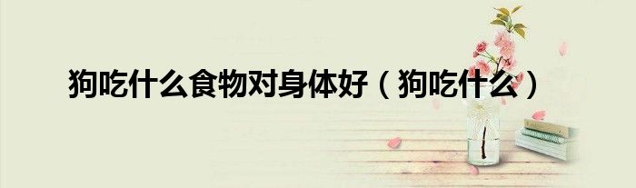 狗吃什么食物对身体好（狗吃什么）