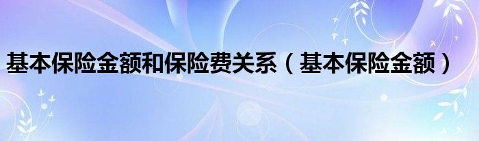 基本保险金额和保险费关系（基本保险金额）