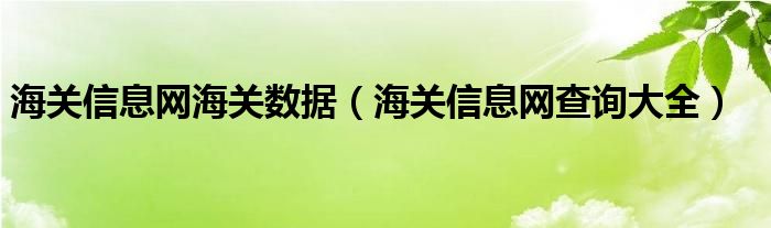 海关信息网海关数据（海关信息网查询大全）