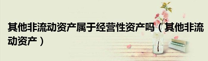 其他非流动资产属于经营性资产吗（其他非流动资产）
