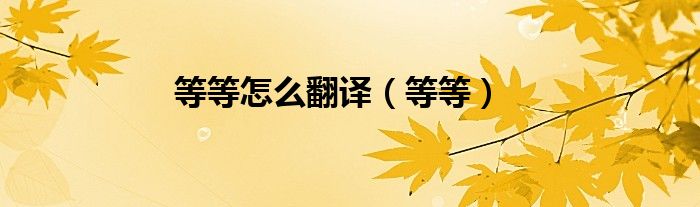 等等怎么翻译（等等）