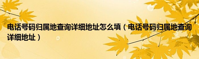 电话号码归属地查询详细地址怎么填（电话号码归属地查询详细地址）