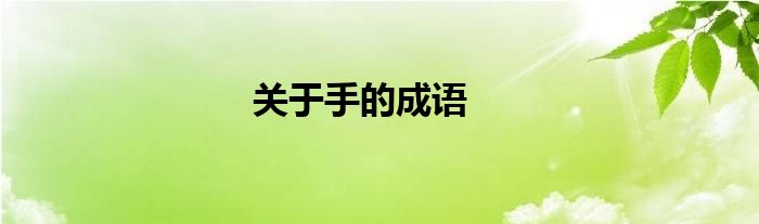关于手的成语