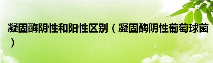 凝固酶阴性和阳性区别（凝固酶阴性葡萄球菌）